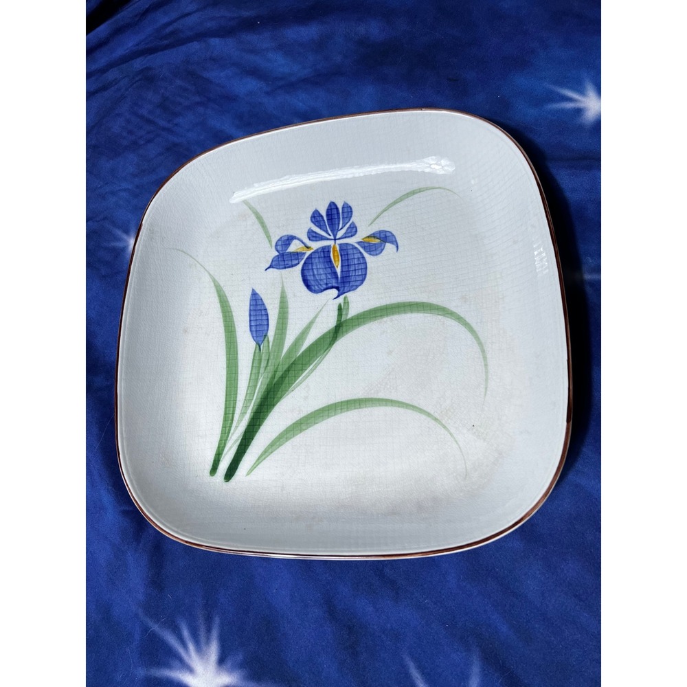 Vintage Japanese Hozan Kiln Iris Ceramic Square Serving Platter